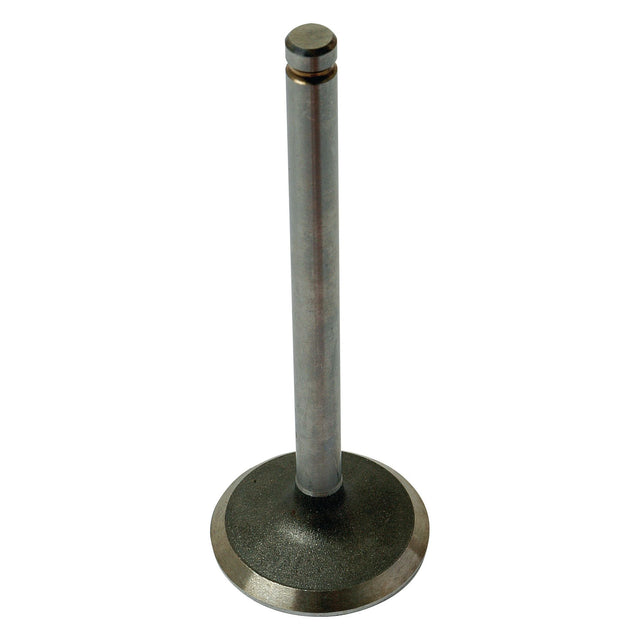 A Sparex Inlet Valve (Sparex Part No. S.41747) with a cylindrical stem and flat circular head, commonly used in Perkins or Massey Ferguson internal combustion engines.