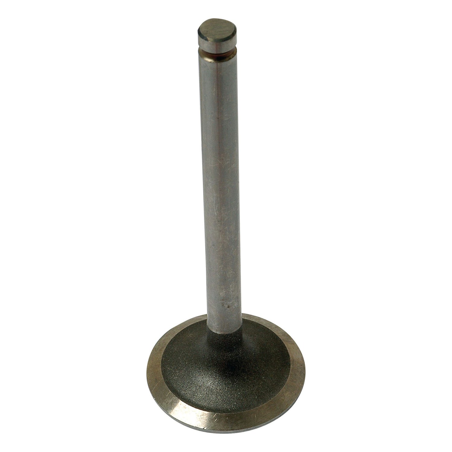 Image of an engine inlet valve, the Sparex Inlet Valve (Part No. S.42439), featuring a metallic, cylindrical stem and a round, flat head, typically used in internal combustion engines for brands like Landini or Massey Ferguson.