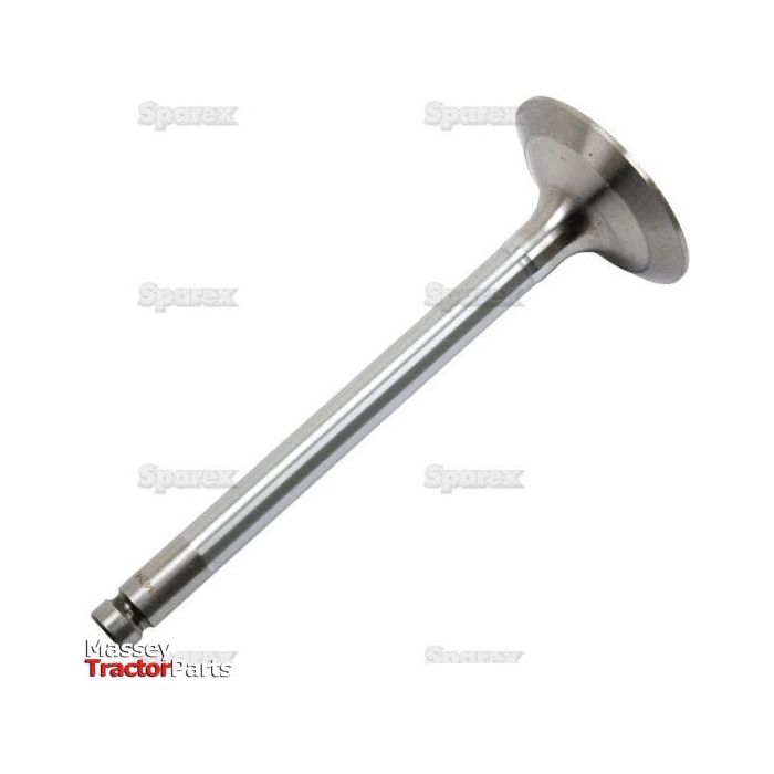A single metal "Inlet Valve | Sparex Part No.S.43173" with a stem and flattened end, branded "Sparex," placed on a plain white background. The words "Massey Ferguson Tractor Parts" are in the bottom left corner, acknowledging Landini engineering.