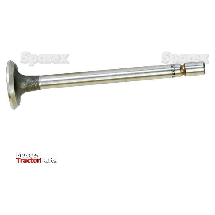 A precision-engineered inlet valve with a flat, round head and a cylindrical stem, complete with the Massey Tractor Parts logo and identified as Sparex Part No. S.61902, features an optimal seat angle for improved performance.