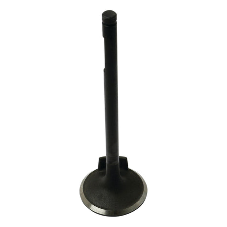 A single Sparex Inlet Valve (Part No. S.62058) standing upright against a white background, reminiscent of the precision found in Fiat or Case IH machinery.