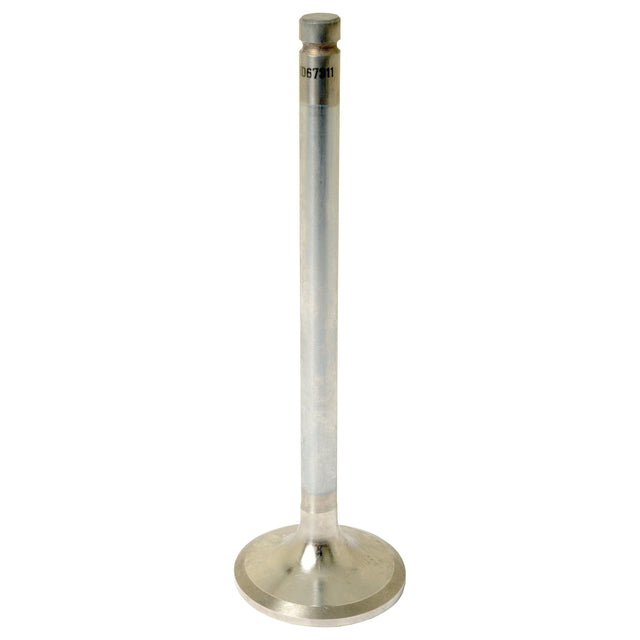 A Sparex Inlet Valve (Part No. S.67311) with a cylindrical stem and flat, circular head on a white background, embodying the precision found in Massey Ferguson machinery.