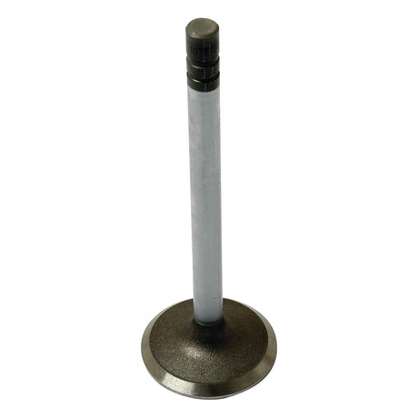 The Sparex Inlet Valve (Part No.S.72126), featuring a gray engine valve with a rounded base and cylindrical stem, meets John Deere product specifications.