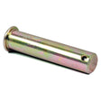 A metallic cylindrical Levelling Box Clevis Pin (Sparex Part No. S.4283) with a flanged end, 3/4'' diameter, and a small hole near the flat end, coated in Zinc & Gold Passivate from the brand Sparex.