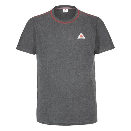 A grey cotton short-sleeve t-shirt from AGCO, featuring red trim on the collar and a logo with a triangle and stylized maple leaf on the chest, named Massey Ferguson - Mens T-Shirt - X993322161.