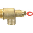 The Pressure Relief Valve 2'' (Sparex Part No. S.59489) by Sparex is a brass safety valve featuring a red pull-ring, with one end threaded and the other open. It's designed for use in plumbing or heating systems and ensures reliability and ease of maintenance. This component is also compatible with Battioni Pagani Pomp models, including the MEC11000 series.
