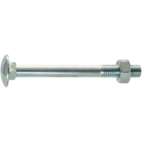 A Sparex Metric Carriage Bolt and Nut, M12x40mm (DIN 603/555), Sparex Part No. S.8297, featuring a threaded shaft, flat round head, and hex nut.