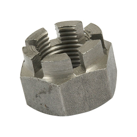 A Sparex Metric Castle Nut, M20x1.50mm (DIN 935) Metric Fine, shown from a three-quarter angle.
