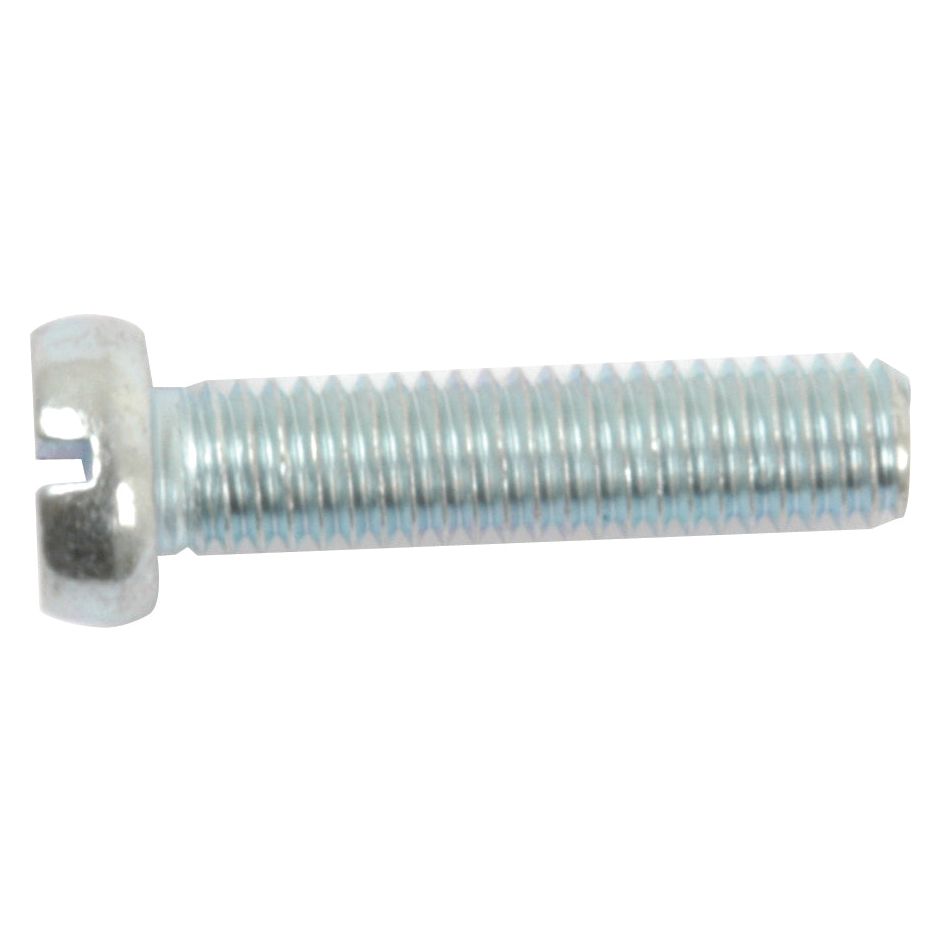 A close-up of a stainless steel screw with a slotted head and threaded shaft, specifically the Sparex Metric Cheese Head Machine Screw, M6x25mm (DIN 84), Part No. S.54093.