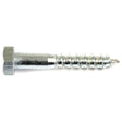Metric Coach Screw, Size: M10 x 60mm (Din 571)
 - S.8371 - Massey Tractor Parts
