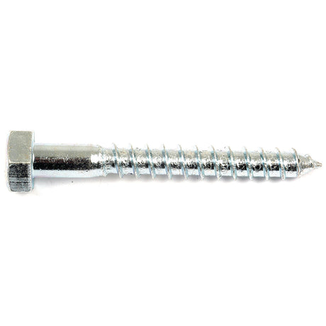 Metric Coach Screw, Size: M10 x 80mm (Din 571)
 - S.8373 - Massey Tractor Parts