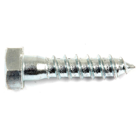 Metric Coach Screw, Size: M12 x 50mm (Din 571)
 - S.8377 - Massey Tractor Parts