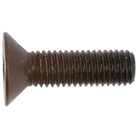 Metric Countersunk Hexagon Socket Screw, Size: M10 x 35mm (Din 7991) - S.11808 - Farming Parts