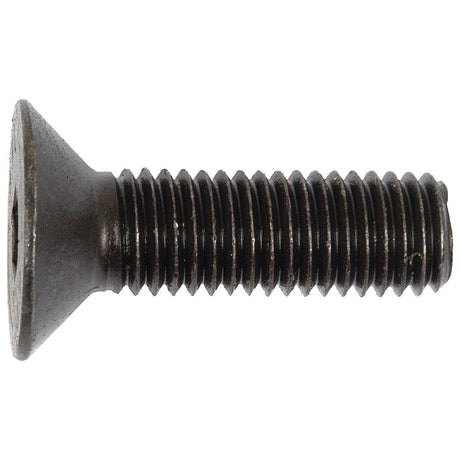 Metric Countersunk Hexagon Socket Screw, Size: M12 x 40mm (Din 7991)
 - S.11815 - Farming Parts