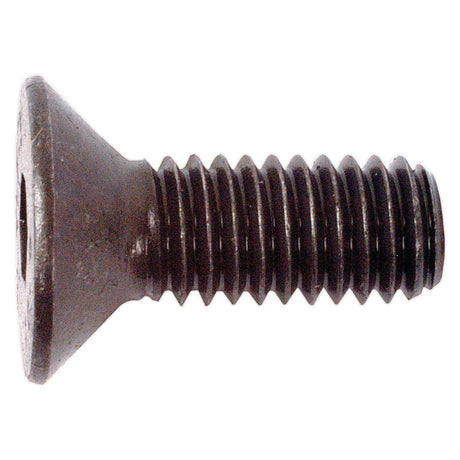 Metric Countersunk Hexagon Socket Screw, Size: M6 x 16mm (Din 7991)
 - S.11796 - Farming Parts
