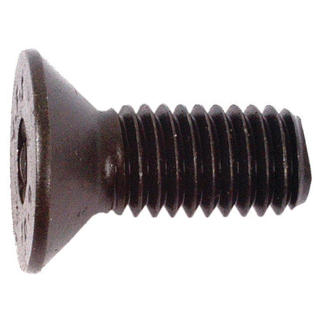 Metric Countersunk Hexagon Socket Screw, Size: M8 x 20mm (Din 7991)
 - S.11800 - Farming Parts