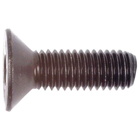 Metric Countersunk Hexagon Socket Screw, Size: M8 x 25mm (Din 7991)
 - S.11801 - Farming Parts