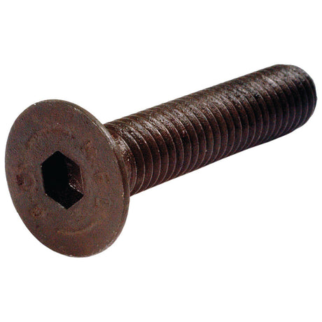 Metric Countersunk Hexagon Socket Screw, Size: M8 x 40mm (Din 7991)
 - S.11803 - Farming Parts