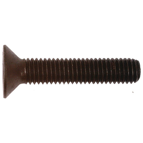 Metric Countersunk Hexagon Socket Screw, Size: M8 x 50mm (Din 7991)
 - S.53956 - Farming Parts