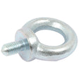 A Metric Eye Bolt, M10x18mm, Ø25mm (DIN 580), offered by Sparex with Part No. S.54753.