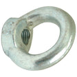 Close-up image of a Sparex Metric Eye Nut, M8xØ20mm (DIN 582) Metric Coarse | Sparex Part No.S.54777.