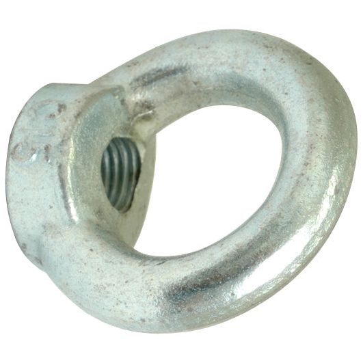 Close-up image of a Sparex Metric Eye Nut, M8xØ20mm (DIN 582) Metric Coarse | Sparex Part No.S.54777.