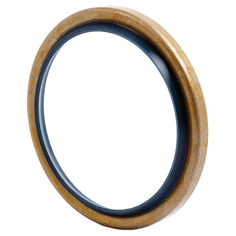 A circular metal O-ring with a blue interior gasket, specifically designed as a Metric Rotary Shaft Seal by Sparex (Part No. S.7760, 50 x 62 x 5mm).