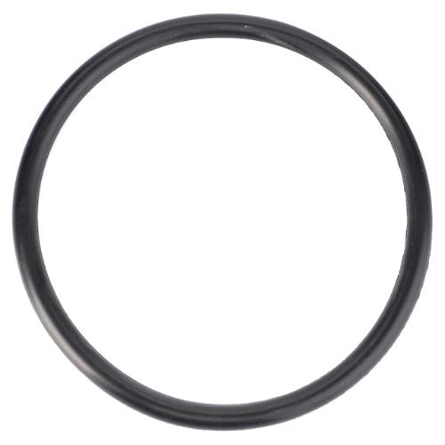 The AGCO Massey Ferguson - ORing Lift Piston - 3761473M1, a black rubber O-ring commonly used in Massey Ferguson 200 Series tractor parts, is displayed on a white background.
