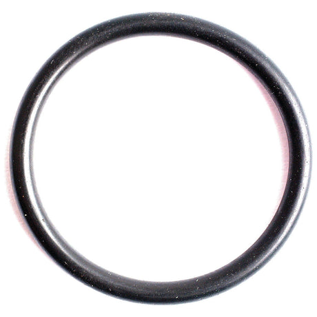 Close-up view of the Sparex O Ring 2.5 x 25mm with 70° shore hardness, against a pristine white background.