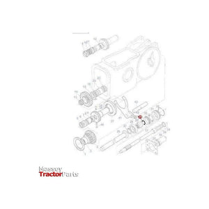 Massey Ferguson O Ring - 3008359X1 | OEM | Massey Ferguson parts | PTO-Massey Ferguson-Auxiliary Drive Kits,Drive Belts & Components,Engine & Filters,Farming Parts,O Rings,O Rings & Accessories,Seals,Tractor Parts