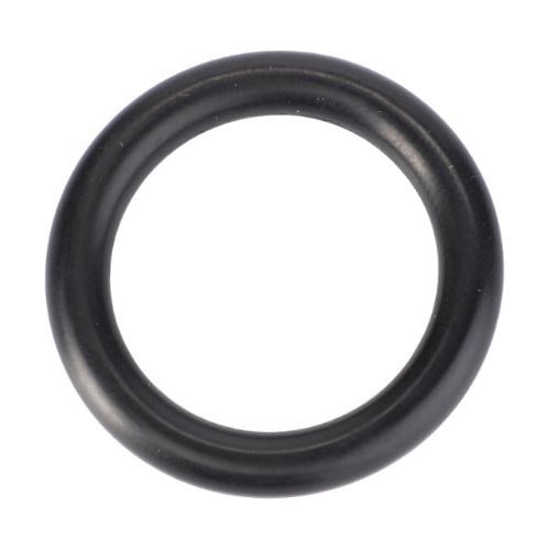 O Ring Housing to Pump 25mmX5mm - V614602550 - Massey Tractor Parts
