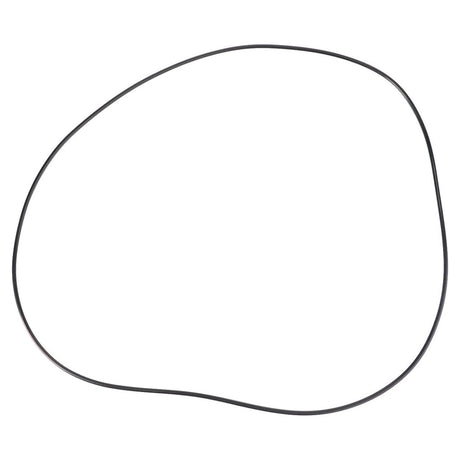 An O-ring, Powershift (Ø 300.00 x 3.00 mm) by AGCO's Massey Ferguson, rests in an irregular oval shape on a pristine white background, evoking the precision engineering characteristic of Massey Ferguson machinery.