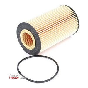Oil Filter - F411201510010 - Massey Tractor Parts