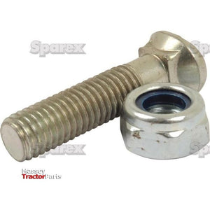 Oval Head Bolt Square Collar With Nut (TOCC) - M10 x 45mm, Tensile strength 8.8 (25 pcs. Box)
 - S.21435 - Farming Parts