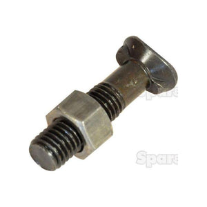 Oval Head Double Nib Bolt With Nut (TO2E) - M12 x 50mm, Tensile strength 10.9 (25 pcs. Box)
 - S.72330 - Massey Tractor Parts
