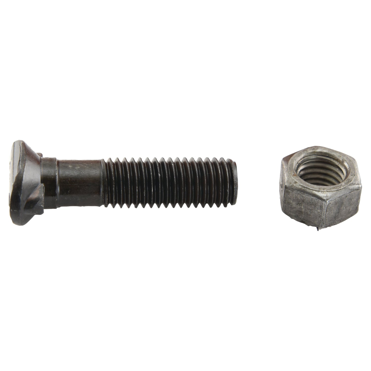 An Oval Head Double Nib Bolt With Nut (TO2E) - M12 x 50mm, Tensile Strength 10.9 by Sparex is shown. The bolt is on the left with threading visible, while the nut is on the right, featuring an internal thread.