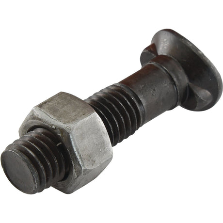 Oval Head Double Nib Bolt With Nut (TO2E) - M12 x 64mm, Tensile strength 10.9 (25 pcs. Box)
 - S.72421 - Farming Parts