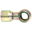Parker BSP Banjo Hose Insert 1/2'' x 18mm
 - S.3751808 - Farming Parts