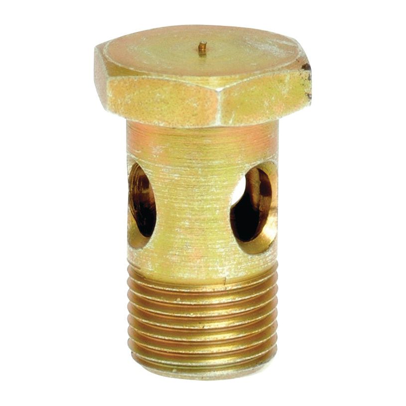 Close-up of a Sparex Banjo Bolt M10 x 1.00 - 19mm (Sparex Part No.S.3761019) with a hexagonal head, threaded lower section, and multiple circular holes along the side, showcasing the precision characteristic of high-quality components.