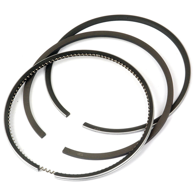 The Sparex Piston Ring set (Part No. S.42939) includes three piston rings arranged in a circular shape, one of which features a toothed pattern along its edge. This RING SET is designed for Massey Ferguson and has a chrome plated barrel for enhanced durability.