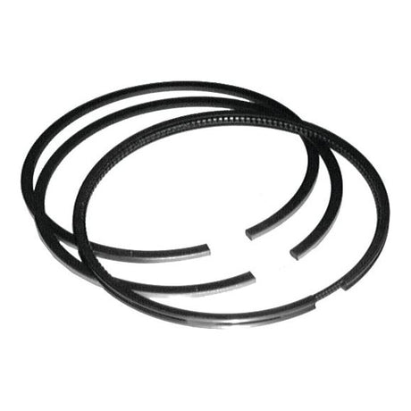 Piston Ring Std.
 - S.66525 - Massey Tractor Parts