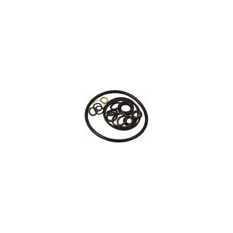 Power Steering Pump Seal Kit - 1635948M92 - Massey Tractor Parts