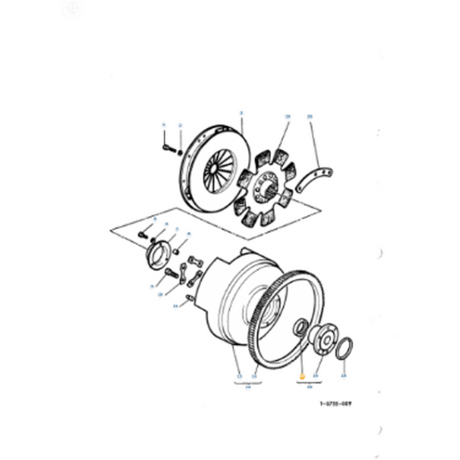 Radial Seal Ring - 3052116M1 - Massey Tractor Parts