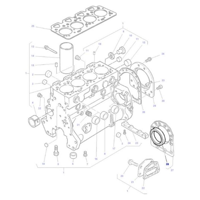 Rear Crankshaft Oil Seal - 1447691M1 - Massey Tractor Parts