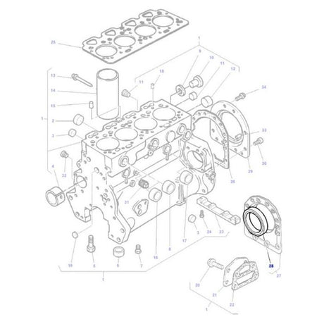 Rear Crankshaft Oil Seal - 1447691M1 - Massey Tractor Parts