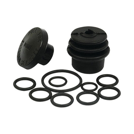The Selector Valve Repair Kit (Sparex Part No. S.67492) by Sparex includes black rubber o-rings and two plugs, perfect for Ford New Holland equipment. One plug features ridges while the other has a smooth, text-labeled surface.