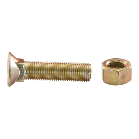 A gold-colored Round Countersunk Square Hex Bolt & Nut (TFCC) - M10 x 40mm, Tensile strength 8.8, positioned side by side on a white background, featuring Sparex Part No. S.78708.