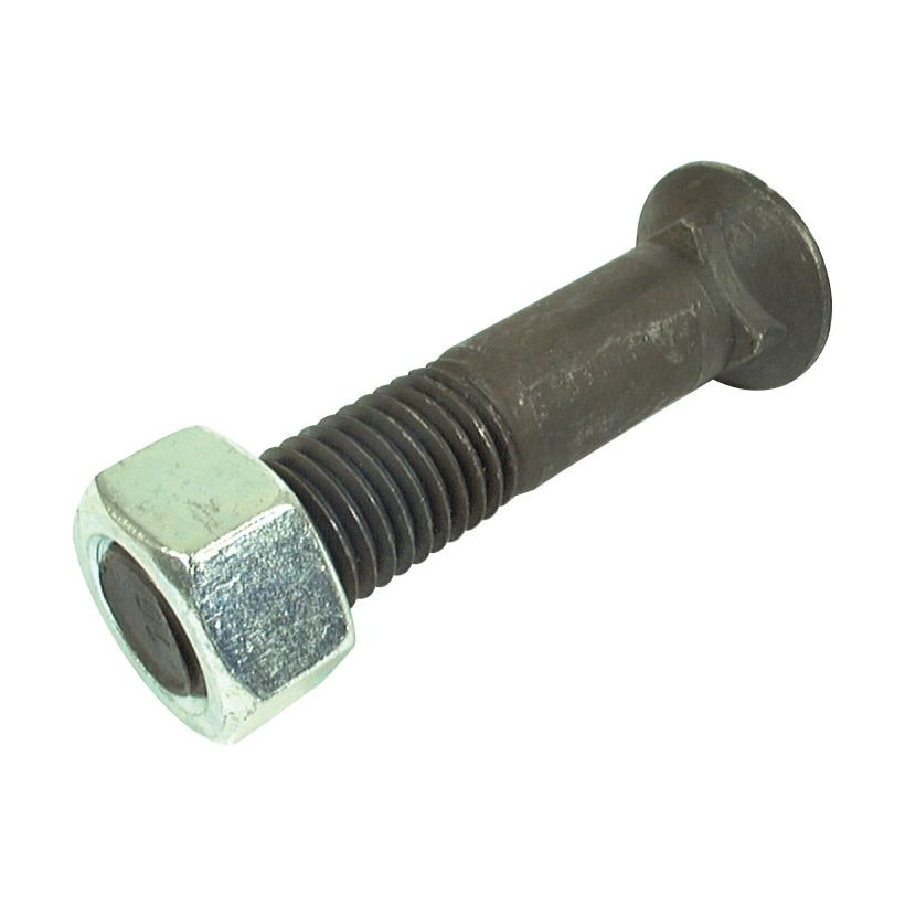 A close-up image of a Sparex M14 x 40mm Round Countersunk Square Hex Bolt & Nut (TFCC), featuring a cylindrical body, threading with tensile strength 8.8, and hexagonal nut.