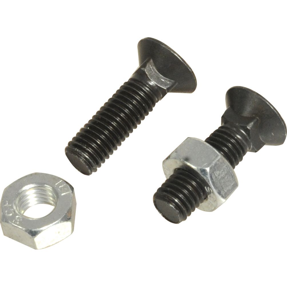 Two Round Countersunk Square Hex Bolts & Nuts (TFCC) - M10 x 35mm, with a tensile strength of 8.8, one with an attached hex nut and another loose hex nut, against a white background.