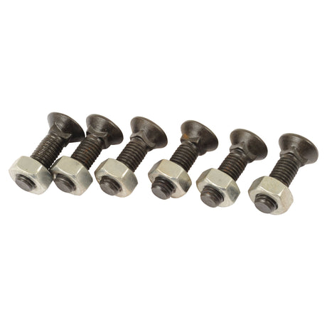 Round Countersunk Square Hex Bolt & Nut (TFCC), Replacement for Lemken
 - S.76151 - Massey Tractor Parts
